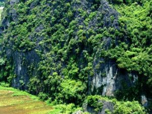 Hoa Lu - Trang An - Mua Cave